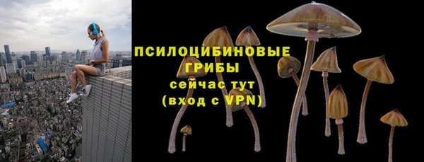 mdpv Абдулино