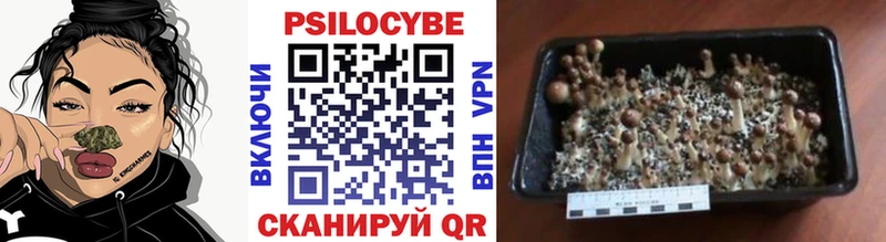 Галлюциногенные грибы мухоморы Карасук